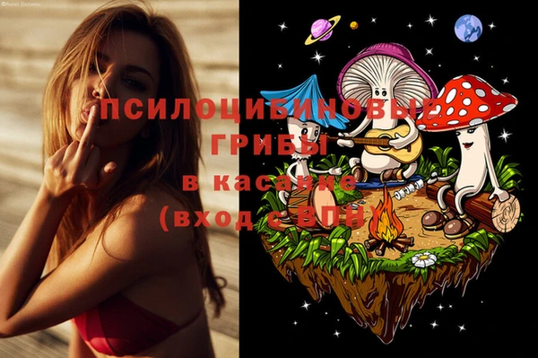 МДПВ Куйбышев