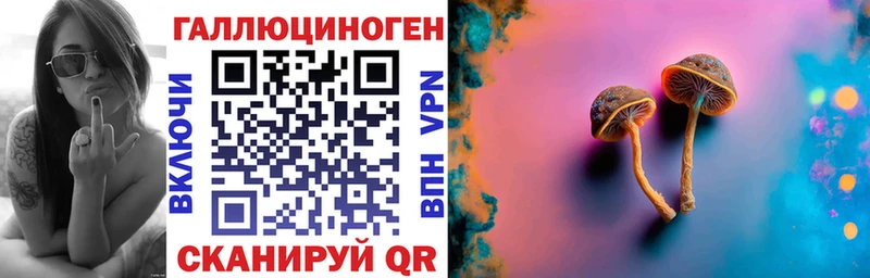 купить   Лесозаводск  Псилоцибиновые грибы ЛСД 